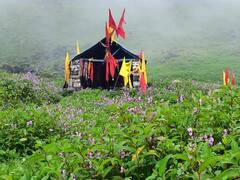 Chardham Yatra 2021: चारधाम यात्रा बंद होने से पर्यटन स्थलों की यात्रा कर रहे सैलानी, प्रकृति का ले रहे हैं आनंद