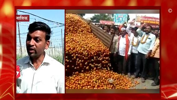 टोमॅटो उत्पादकांना दिलासा मिळणार? तोट्याची 50% रक्कम केंद्र सरकार भरणार : ABP Majha