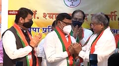 भाजप प्रदेश उपाध्यक्षपदी Kripashankar Singh, निवडणूकांच्या तोंडावर महत्वाची जबाबदारी : ABP Majha