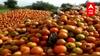 Tomato Price Rate : सोंगाड्या राज्य सरकारने आता झोपेतून जाग व्हावं : Sadabhau Khot