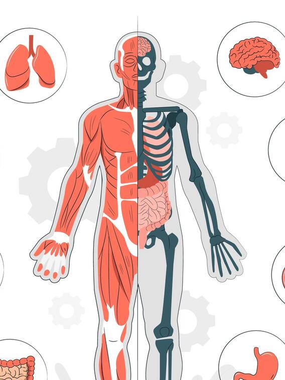 शरीर के लिए जरूरी है फोलिक एसिड, खाएं ये चीजें