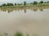 Balrampur Rain: 150 गांव राप्ती नदी के पानी से घिरे, बढ़ता जा रहा है तटबंध टूटने का खतरा