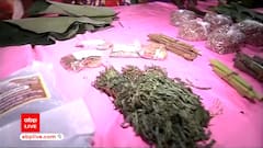 Green vegetables which you may not have seen ever before | Special Report