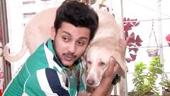 'Ghum Hai Kisikey Pyaar Meiin' actor Adish Vaidya gives a peek into his house | SBS Originals