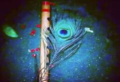 Janmashtami Pooja: ਜਨਮ ਅਸ਼ਟਮੀ ਦੀ ਪੂਜਾ 'ਚ ਸ਼ਾਮਲ ਹੋਣੀਆਂ ਚਾਹੀਦੀਆਂ ਇਹ ਚੀਜ਼ਾਂ