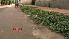 Bangla News: বেপরোয়া বাইকের ধাক্কায় পা ভাঙল হাসপাতাল কর্মীর, মহিলা উদ্ধারকারীকে লক্ষ্য করে 'কটূক্তি'