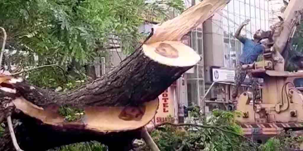 West Burdwan Biker dies in Durgapur after branch fall on him West Burdwan: মর্মান্তিক!  ভেঙে পড়ল গাছের ডাল, মাথায় পড়ে মৃত্যু বাইক আরোহীর