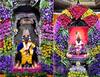 PHOTO : कानडा राजा पंढरीचा... कृष्ण जन्माष्टमीनिमित्त विठुरायाच्या राऊळीला फुलाफळांचा बहर