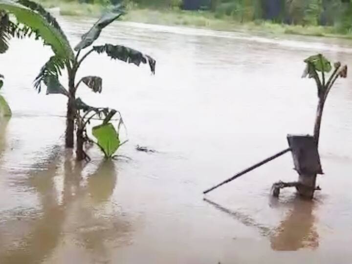 Bihar Flood: Flood havoc in many villages of East Champaran Motihari-Sheohar road lost contact ann Bihar Flood: पूर्वी चंपारण में चौथी बार बाढ़ का कहर, मोतिहारी-शिवहर का संपर्क टूटा, कई गांवों में घुसा पानी