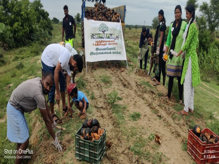 உத்திரமேரூர் அருகே ஏரிக்கரைகளில் 3000 பனை விதை நடும் விழா...!