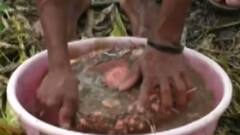 નવસારીઃ ખેડૂતે કરી સુરણની આધુનિક ખેતી, કેટલા પાકનું થશે ઉત્પાદન?