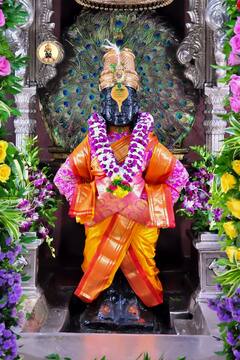 PHOTO : कानडा राजा पंढरीचा... कृष्ण जन्माष्टमीनिमित्त विठुरायाच्या राऊळीला फुलाफळांचा बहर