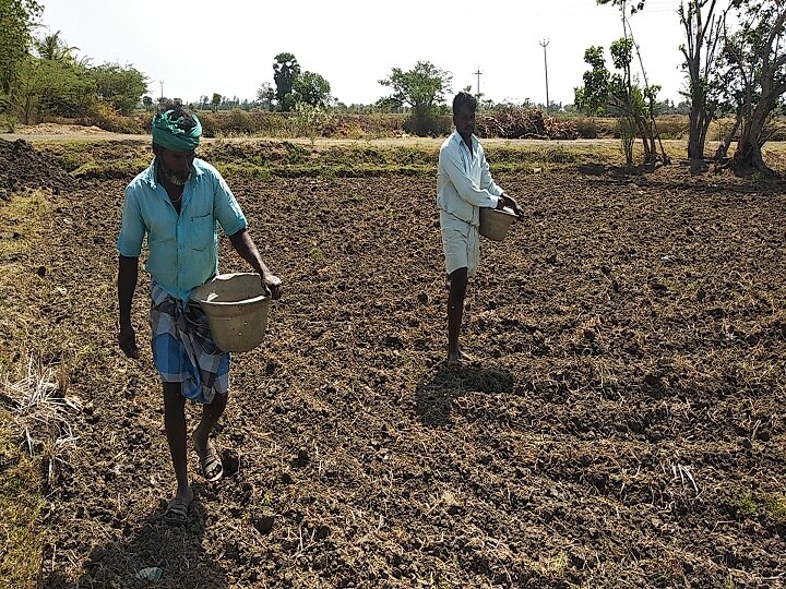 ’திருவாரூரில் சிறுகுறு கால்வாய்களை தூர்வாரினால் மட்டுமே சம்பா சாகுபடி சாத்தியம்’