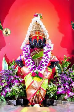 PHOTO : कानडा राजा पंढरीचा... कृष्ण जन्माष्टमीनिमित्त विठुरायाच्या राऊळीला फुलाफळांचा बहर