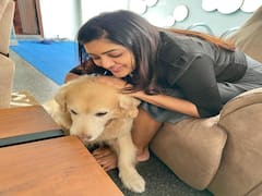 Actress Eesha Rebba pics | அவள் உலக அழகியே! நெஞ்சில் விழுந்த அருவியே! - ஈஷா ரெப்பா போட்டோஷூட்