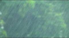 Konkan Rain : कोकणात सकाळपासून पावसाचा जोर, रत्नागिरी जिल्ह्यात सकाळपासून मुसळधार