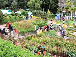 கொரோனா கட்டுப்பாடுகளை கடந்து மீண்டும் இயல்புநிலைக்கு திரும்பும் கொடைக்கானல்...!