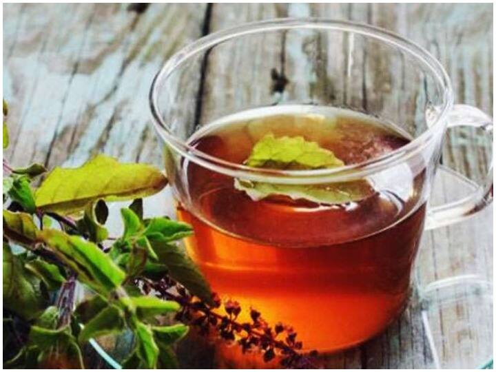 Health and Fitness Tips Glow Comes on the Face by Drinking tea of Tulsi Leaves And Basil Tea Benefits Health and Fitness Tips: तुलसी के पत्तों की चाय पीने से फेस पर आता है ग्लो, जानें इसे बनाने का तरीका