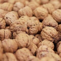 Walnut Benefits : মস্তিষ্কের তীক্ষ্ণতা বাড়ানো থেকে রক্তচাপ নিয়ন্ত্রণে রাখা, আরও কী গুণ রয়েছে আখরোটের ?