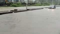 વલસાડઃ સવારથી બપોરના 12 વાગ્યા સુધી કેટલા તાલુકામાં વરસ્યો વરસાદ?,જુઓ ગુજરાતી ન્યૂઝ