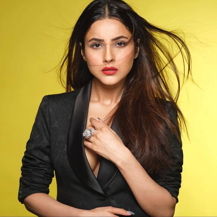 Speaking on the professional front, Shehnaaz Gill will be next seen featuring in the Punjabi movie ‘Honsla Rakh’ alongside Diljeet Dosanjh. (Image courtesy - @shehnaazgill/Instagram)
