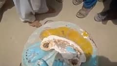 Krishna idol vandalised in Pakistan during Janamashtami celebrations