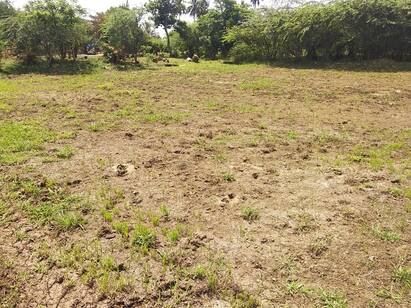 960 acres of agricultural land near Thiruvarur became barren திருவாரூர் அருகே நீரின்றி தரிசாக மாறி வரும்  960 ஏக்கர் விவசாய நிலங்கள்...!
