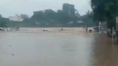 Chalisgaon Flood : चाळीसगावात पुरामुळं हाहा:कार; 800 जनावरं वाहून गेल्याची भिती ABP Majha