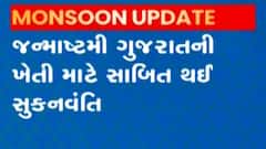 છેલ્લા 24 કલાકમાં રાજ્યના કેટલા તાલુકાઓમાં ખાબક્યો વરસાદ?,જુઓ ગુજરાતી ન્યૂઝ