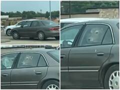 Viral Video: ਕਾਰ 'ਚ ਗਾਂ ਦੀ ਸਵਾਰੀ ਦਾ ਵੀਡੀਓ ਸੋਸ਼ਲ ਮੀਡੀਆ 'ਤੇ ਵਾਇਰਲ 