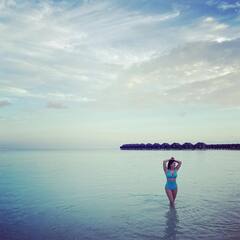 In Pics: Vaani Kapoor से लेकर Ranveer Singh तक, बॉलीवुड के इन सेलब्स ने इंस्टा पर शेयर की ये सिजलिंग तस्वीरें