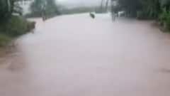 જૂનાગઢઃ લાંબા વિરામ બાદ વરસાદ વરસતા આ નદી બે કાંઠે થઈ વહેતી, જુઓ ગુજરાતી ન્યૂઝ