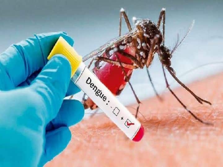 Lucknow Dengue Cases Rises in UP After Coronavirus Cases Decreased Government Alerts ann Dengue Cases in UP: कोविड के केस कम होने के बाद यूपी में बढ़ा डेंगू और वायरल का कहर, सरकार ने कसी कमर 