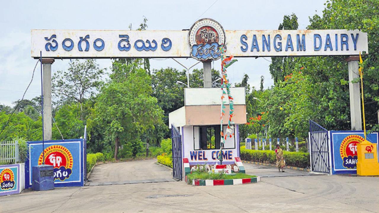 Sangam Dairy :  సంగం డెయిరీ రైతులదే ! స్వాధీనం చెల్లదని హైకోర్టు డివిజనల్ బెంచ్ తీర్పు..!