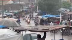 દ્વારકામાં બે દિવસથી ધીમીધારે વરસાદ, ખેડૂતોમાં ખુશીની લાગણી