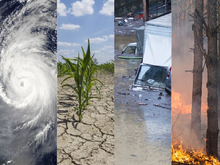 Weather disasters like floods, heatwaves killed 2 million people in last 50 years, UN agency says Weather Disaster: 50 வருடங்களில் 20 லட்சம் பேர்.. பேரழிவுகளும், உயிரிழப்புகளும்!