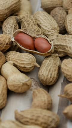 Beauty Benefits of Peanuts: મગફળી સ્વાસ્થ્યની સાથે ત્વચા માટે પણ છે વરદાન, જાણો બ્યુટી સંદર્ભે ફાયદા