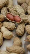 Beauty Benefits of Peanuts: મગફળી સ્વાસ્થ્યની સાથે  ત્વચા માટે પણ છે વરદાન, જાણો બ્યુટી સંદર્ભે ફાયદા