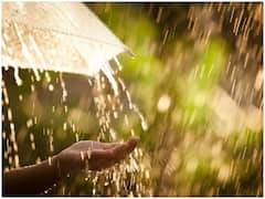 Monsoon Forecast: देश में इस साल सामान्य रहेगा मानसून, जानिए आपके राज्य में मानसून अच्छा रहेगा या खराब