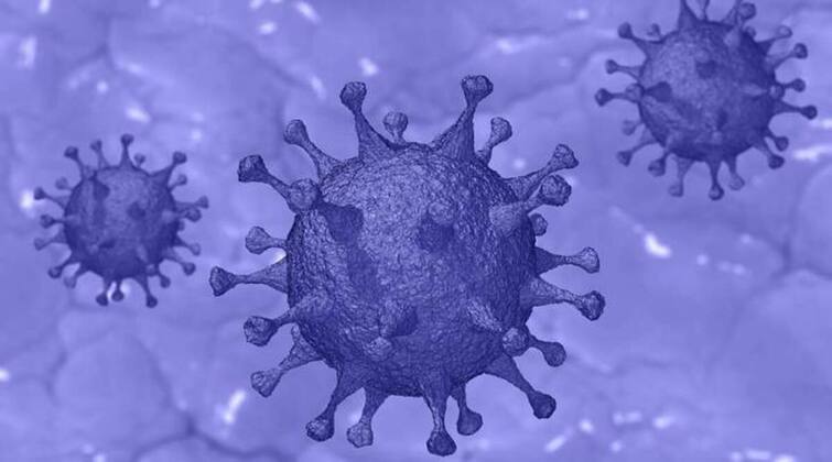 All you need to know about c-1.2 new covid variant કોરોનાના નવા સ્વરૂપ C.1.2થી દુનિયાના કેમ છે ચિંતિત, જાણો ભારતના વૈજ્ઞાનિકોએ શું આપી ચેતાવણી