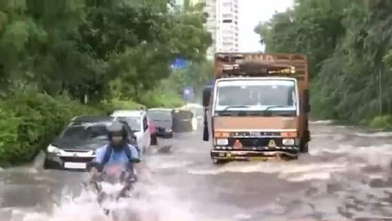 Monsoon mayhem in Delhi: Tree falls due to due heavy rains in Tughlaq Road, commuters face trouble