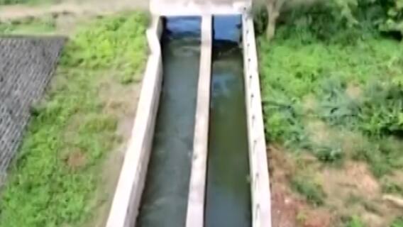 ભાવનગરઃ શેત્રુંજી ડેમમાં પાણીની આવકમાં થયો વધારો, જળસપાટીમાં કેટલો થયો વધારો?