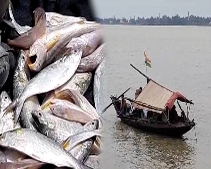 Howrah West Bengal government mulling ban on Hilsa fishing for 120 days to protect carp state fisheries minister Howrah: ইলিশ বাঁচাতে ১২০ দিন মাছ ধরা বন্ধের ভাবনা রাজ্যের, জানালেন মৎস্যমন্ত্রী