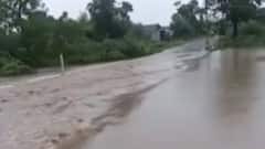 દક્ષિણ ગુજરાત અને સૌરાષ્ટ્રમાં મેઘરાજાની ધમાકેદાર બેટિંગ, ખેડૂતોમાં ખુશીની લહેર