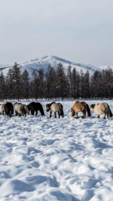 পৃথিবীর ১০ সবচেয়ে শীতল জায়গা