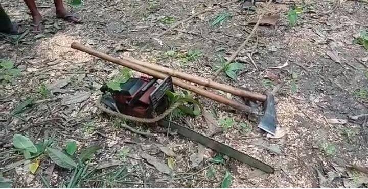 অভিযুক্ত শ্রীকান্ত দাসের দাবি, তার নিজের জমির আম গাছের ডালে পোকা ধরে শুকিয়ে যাচ্ছিল। তাই সেই ডাল ছাঁটছিলেন মাত্র।