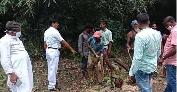 বেআইনিভাবে গাছ কাটার অভিযোগ উঠল  দেবানন্দপুর পঞ্চায়েত এলাকার ভোতোয়।