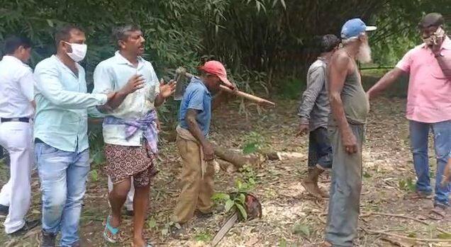 ঘটনায় ব্যান্ডেল ফাঁড়ির পুলিশ শ্রীকান্ত দাস-সহ বেশ কয়েকজনকে আটক করেছে। বাজেয়াপ্ত হয়েছে গাছ কাটার সরঞ্জামও।