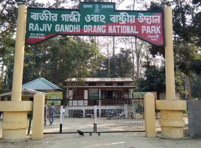 Rajiv Gandhis Name To Be Removed From National Park In Assam ANN Orang National Park: असम की BJP सरकार का फैसला, राजीव गांधी का नाम ‘ओरंग राष्ट्रीय उद्यान’ से हटाया