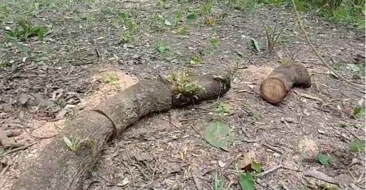 বিধায়ক অসিত মজুমদার দুয়ারে সরকারের ক্যাম্পে যাচ্ছিলেন, সেই পথেই ঘটনাস্থলে হাজির হন তিনি।